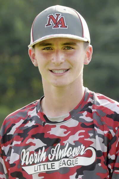 Meet the North Andover Little League District 14 champs